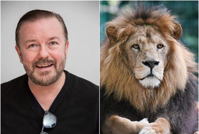 Showbiz 14/1: Ốc Thanh Vân gửi lời chúc mừng sinh nhật đến cố diễn viên Mai Phương ảnh 6