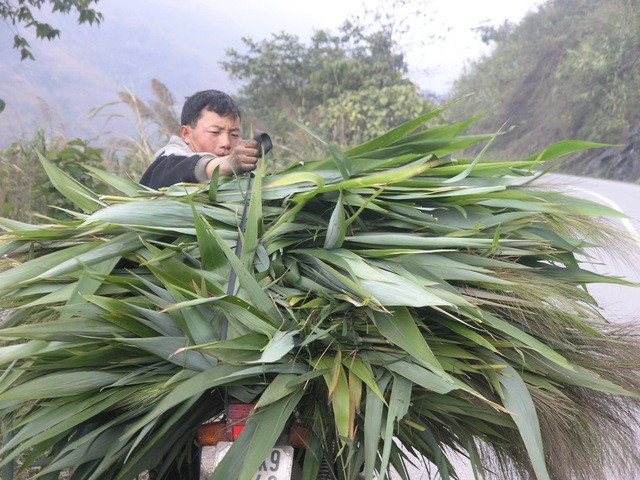 Nhịp sống vùng cao Sa Pa trong giá lạnh 0 độ ảnh 5