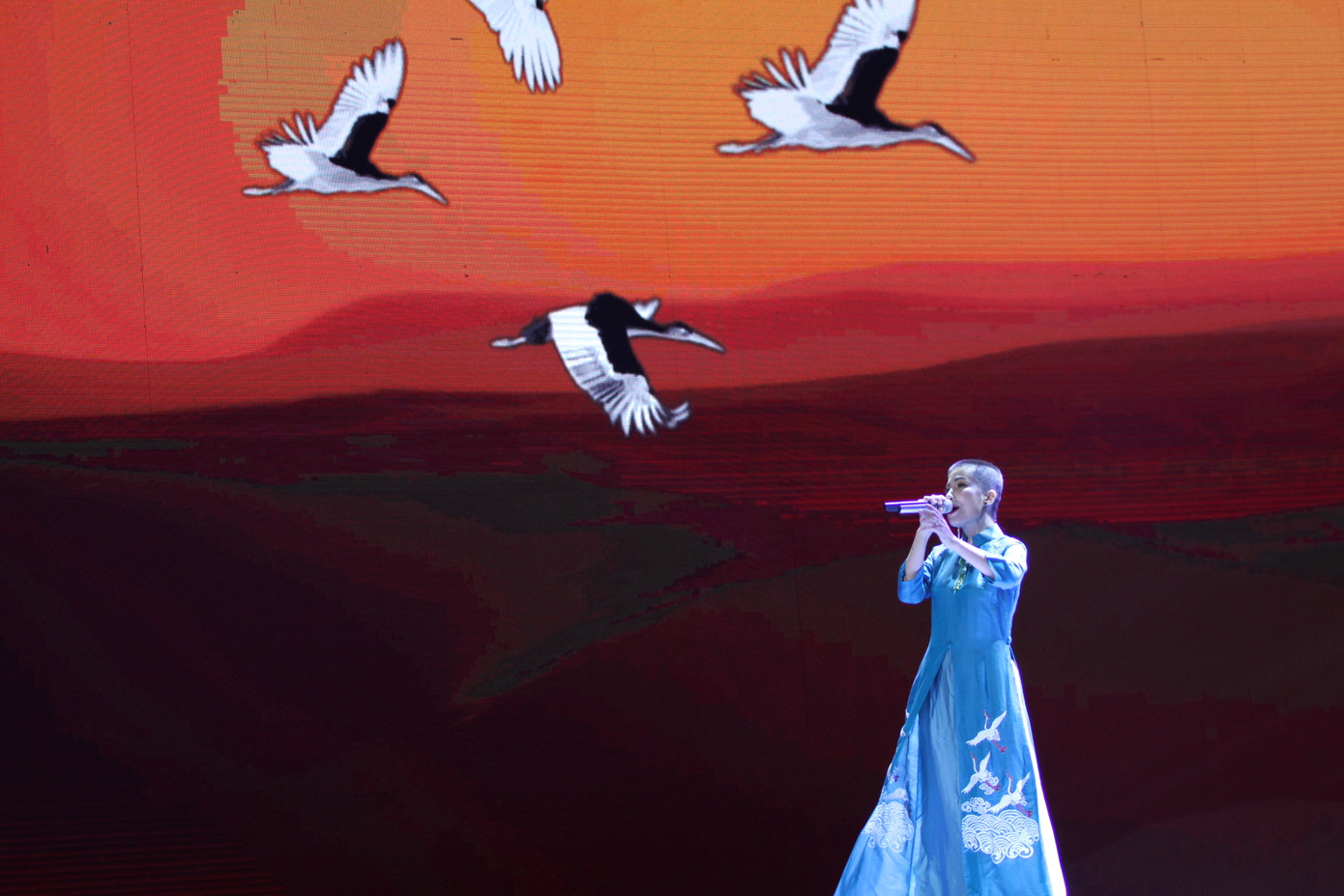 Vĩnh biệt Phó Đức Phương - nhạc sĩ của những sứ mệnh ảnh 2