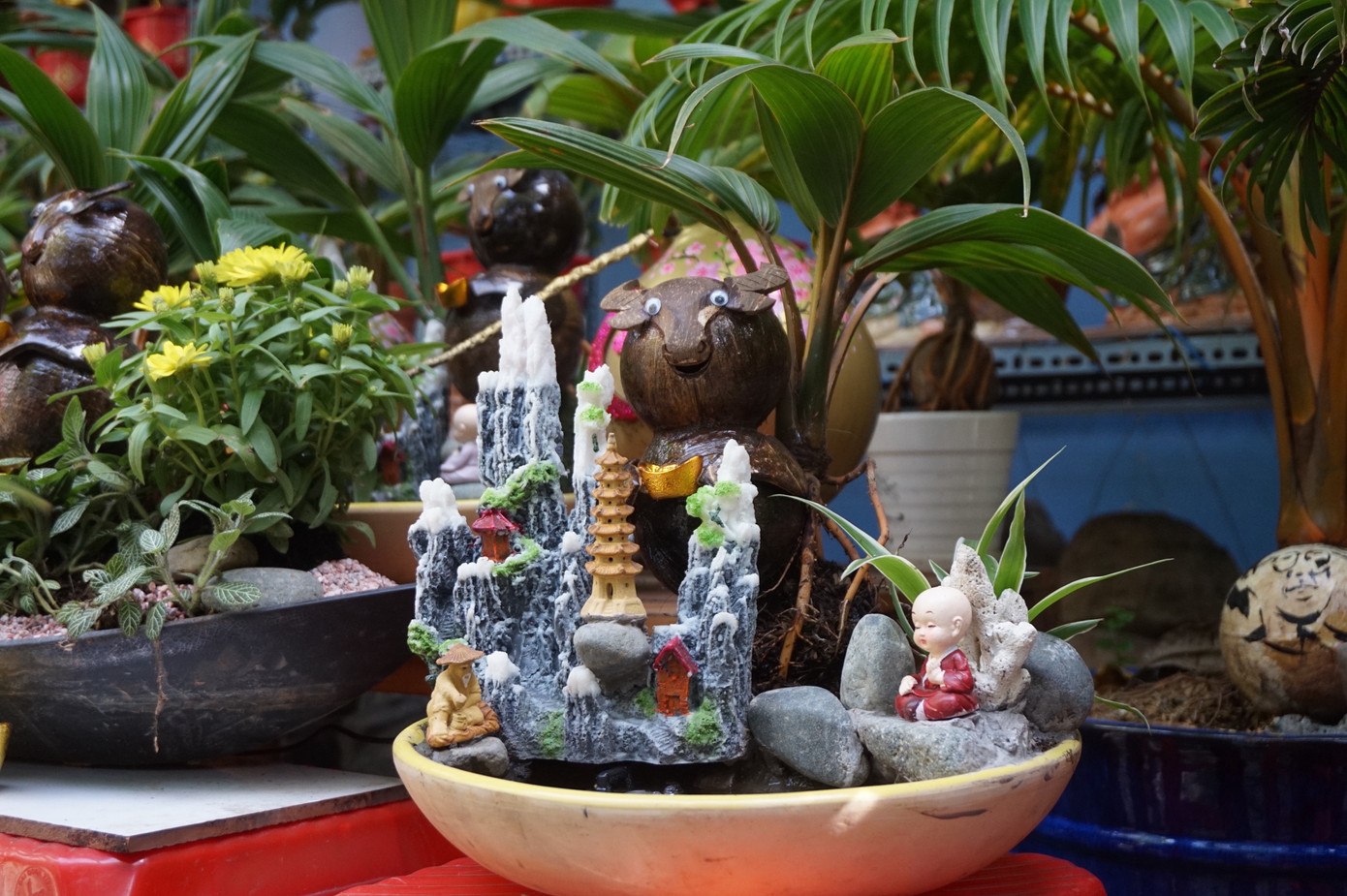 Độc đáo bonsai dừa tạo hình con trâu đón Tết Tân Sửu 2021 ảnh 9