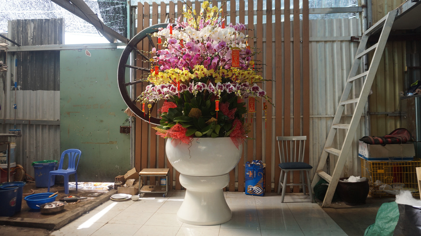 Bưởi diễn vượt hàng nghìn cây số vào Nam, người Sài Gòn ký tên lên chậu đặt trước ảnh 10