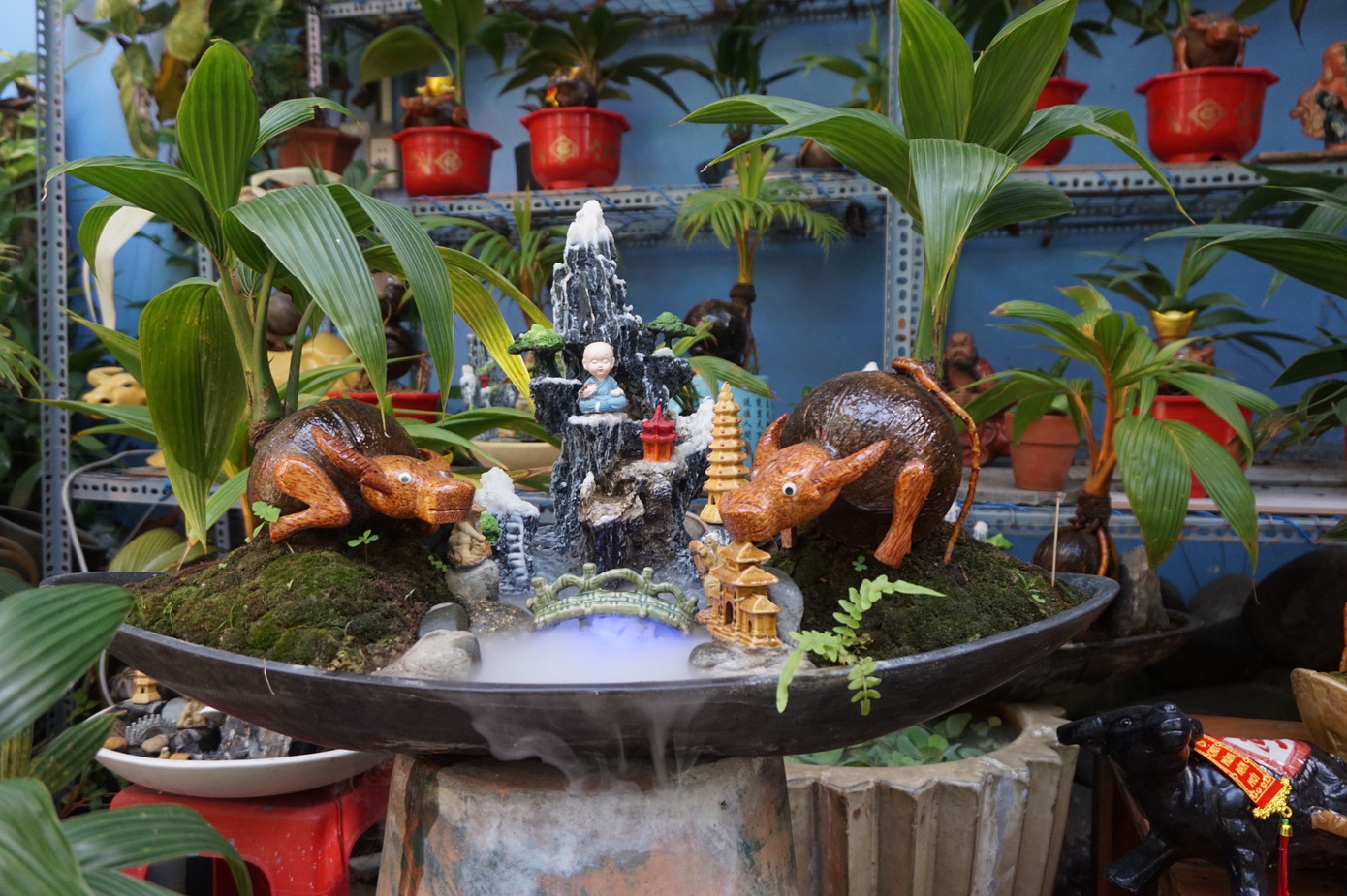 Độc đáo bonsai dừa tạo hình con trâu đón Tết Tân Sửu 2021 ảnh 2