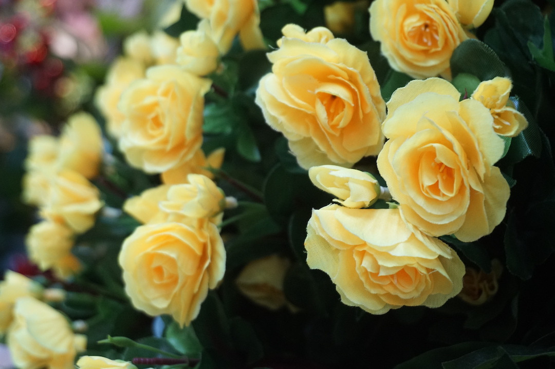 TPHCM: Hoa cảnh làm từ vải 'đổ bộ' xuống phố ảnh 7