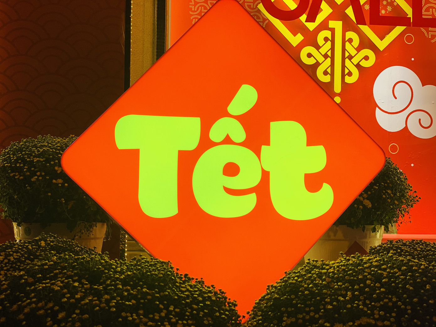 Đường phố TPHCM lung linh trang trí trâu vàng đón Tết Tân Sửu ảnh 6