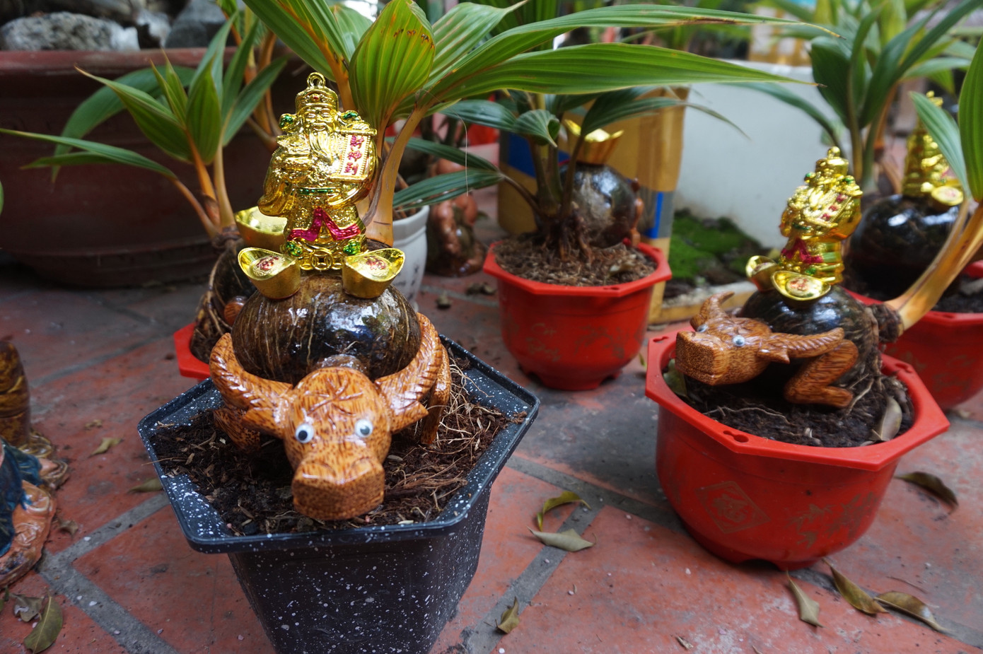 Độc đáo bonsai dừa tạo hình con trâu đón Tết Tân Sửu 2021 ảnh 1