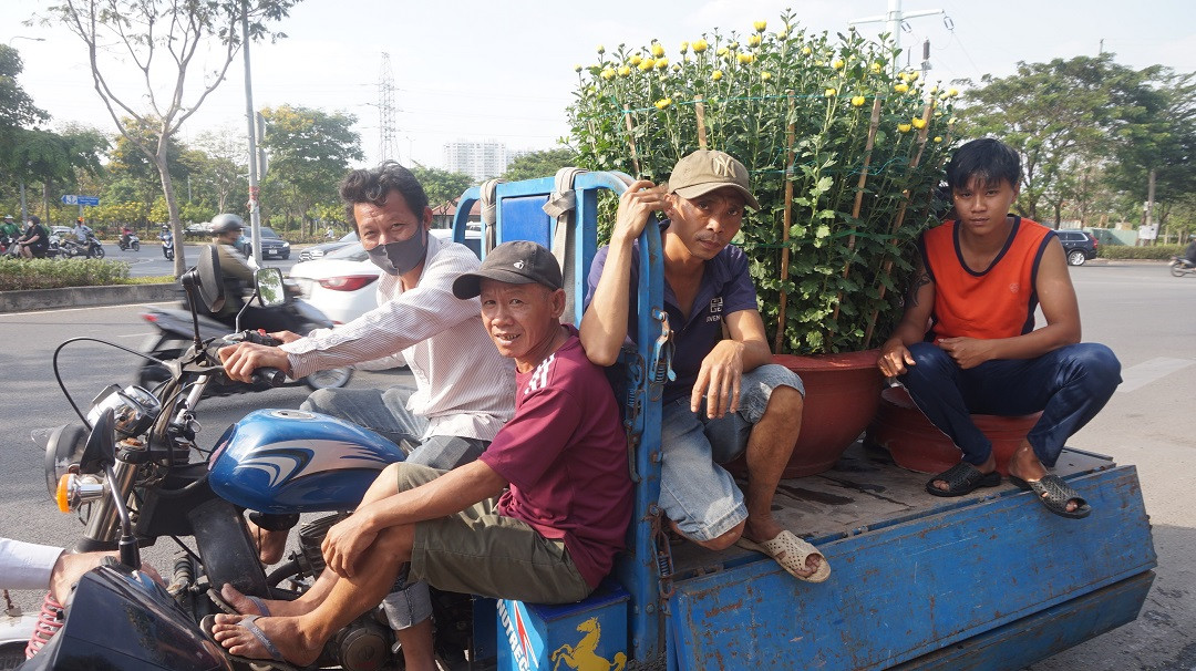 Đào miền Bắc đỏ rực ở đất phương Nam ảnh 16