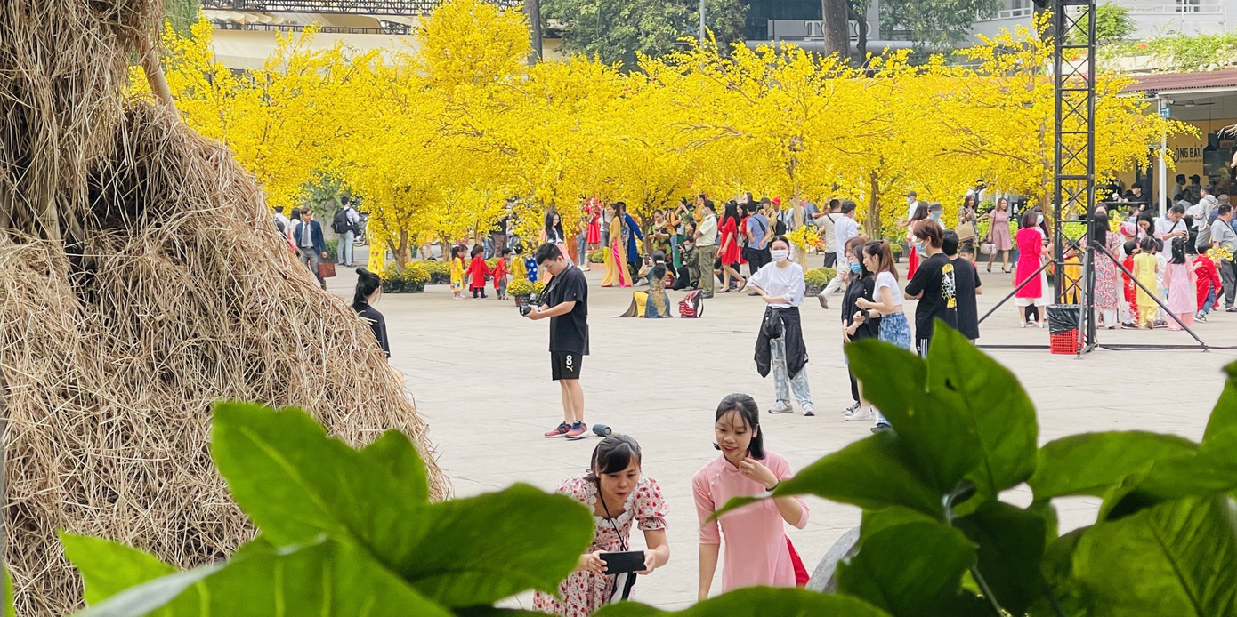 Người dân TPHCM xúng xính xuống phố du xuân sớm ảnh 1