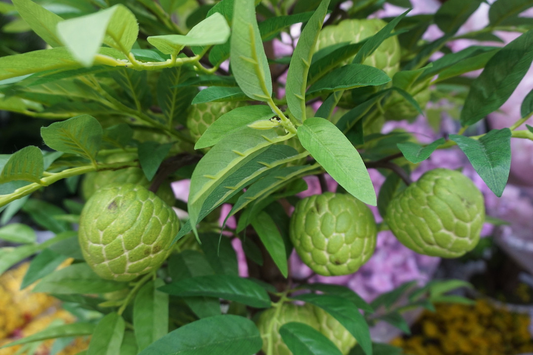 TPHCM: Hoa cảnh làm từ vải 'đổ bộ' xuống phố ảnh 10