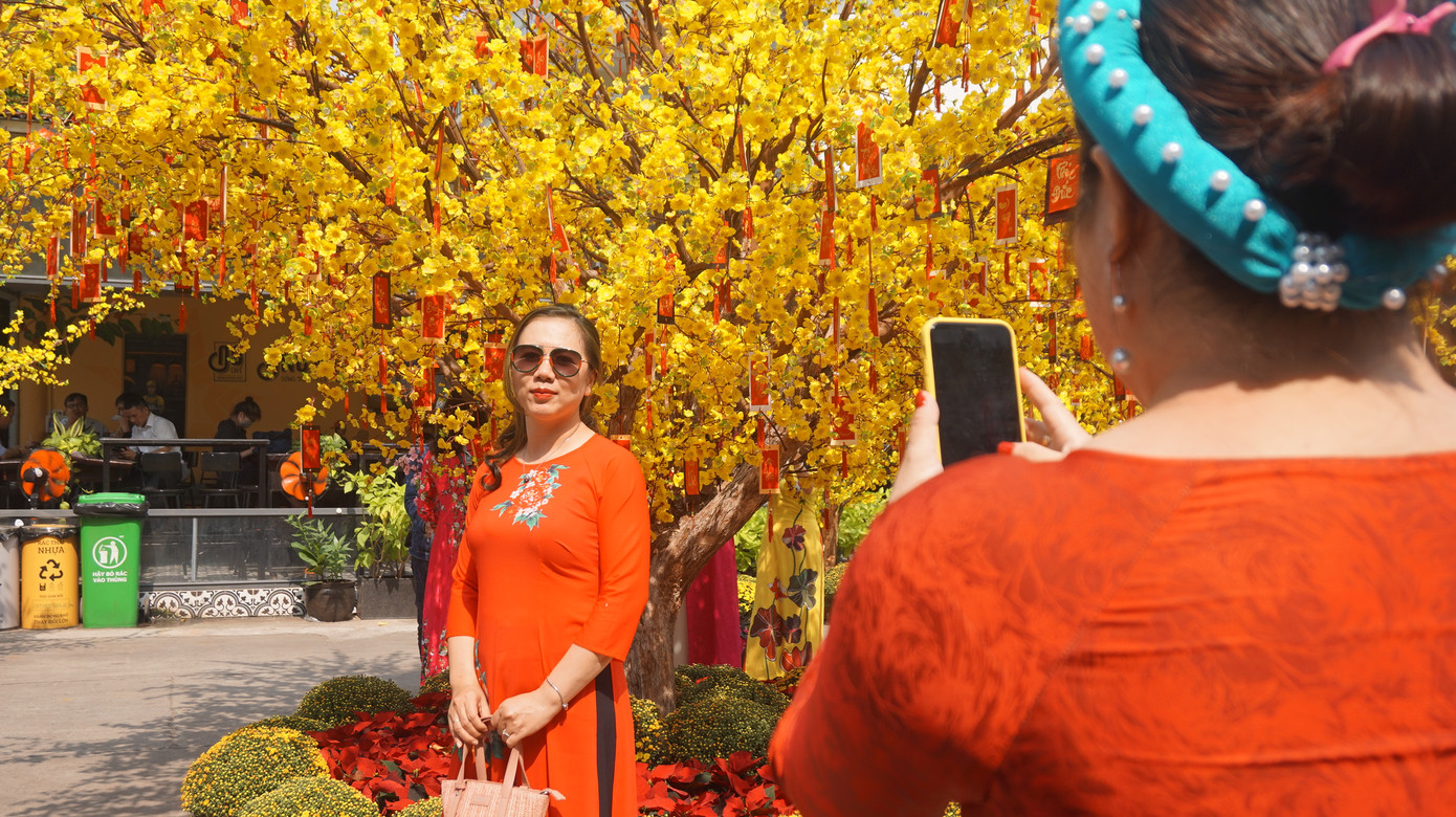 Người dân TPHCM xúng xính xuống phố du xuân sớm ảnh 5