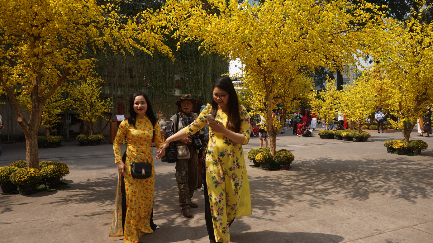 Người dân TPHCM xúng xính xuống phố du xuân sớm ảnh 13