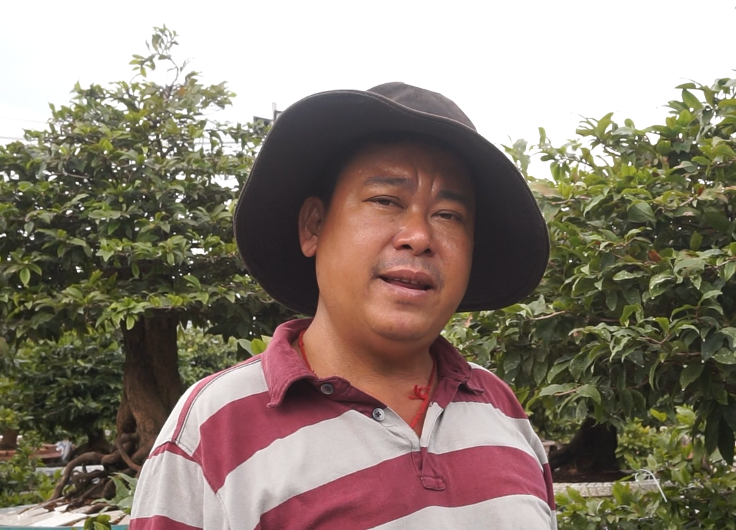 Nhà vườn TPHCM thấp thỏm vụ hoa Tết ảnh 1