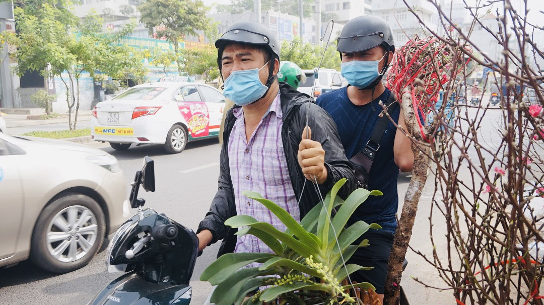 Đào miền Bắc đỏ rực ở đất phương Nam ảnh 1