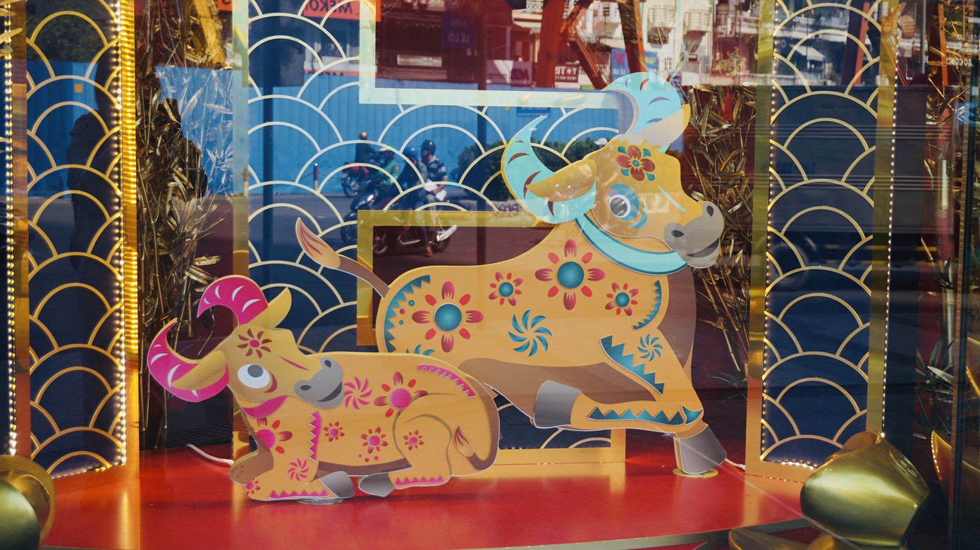 Đường phố TPHCM lung linh trang trí trâu vàng đón Tết Tân Sửu ảnh 11