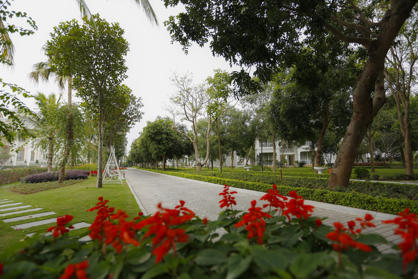 Trải nghiệm Yoga khác biệt tại những khu nghỉ dưỡng hàng đầu Việt Nam ảnh 7