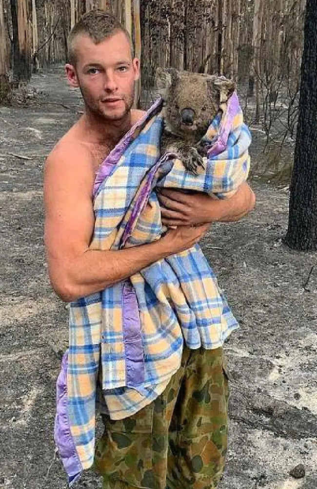 Chàng trai 22 tuổi thành anh hùng cứu gấu koala trong cháy rừng ở Úc ảnh 1