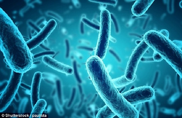 Bao quy đầu ở nam giới gây ra 37% viêm nhiễm âm đạo cho bạn tình ảnh 1