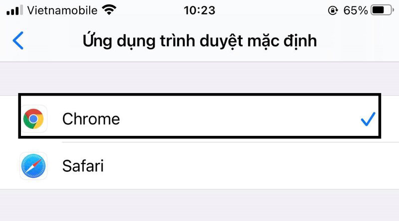 Hướng dẫn thay đổi trình duyệt mặc định trên iPhone ảnh 4