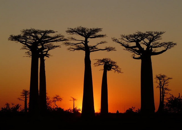 Khám phá 5 hòn đảo có diện tích lớn nhất thế giới ảnh 2