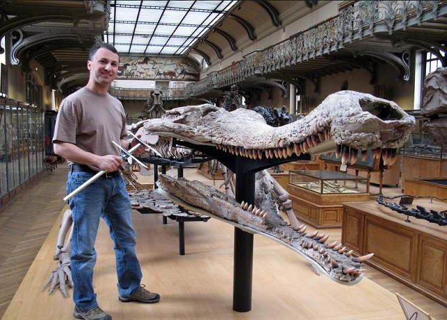 Những sự thật bất ngờ và thú vị về loài cá sấu ảnh 1