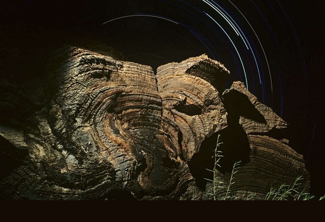 Đến năm 2021, chúng ta sẽ tìm thấy sự sống trên sao Hỏa? ảnh 1