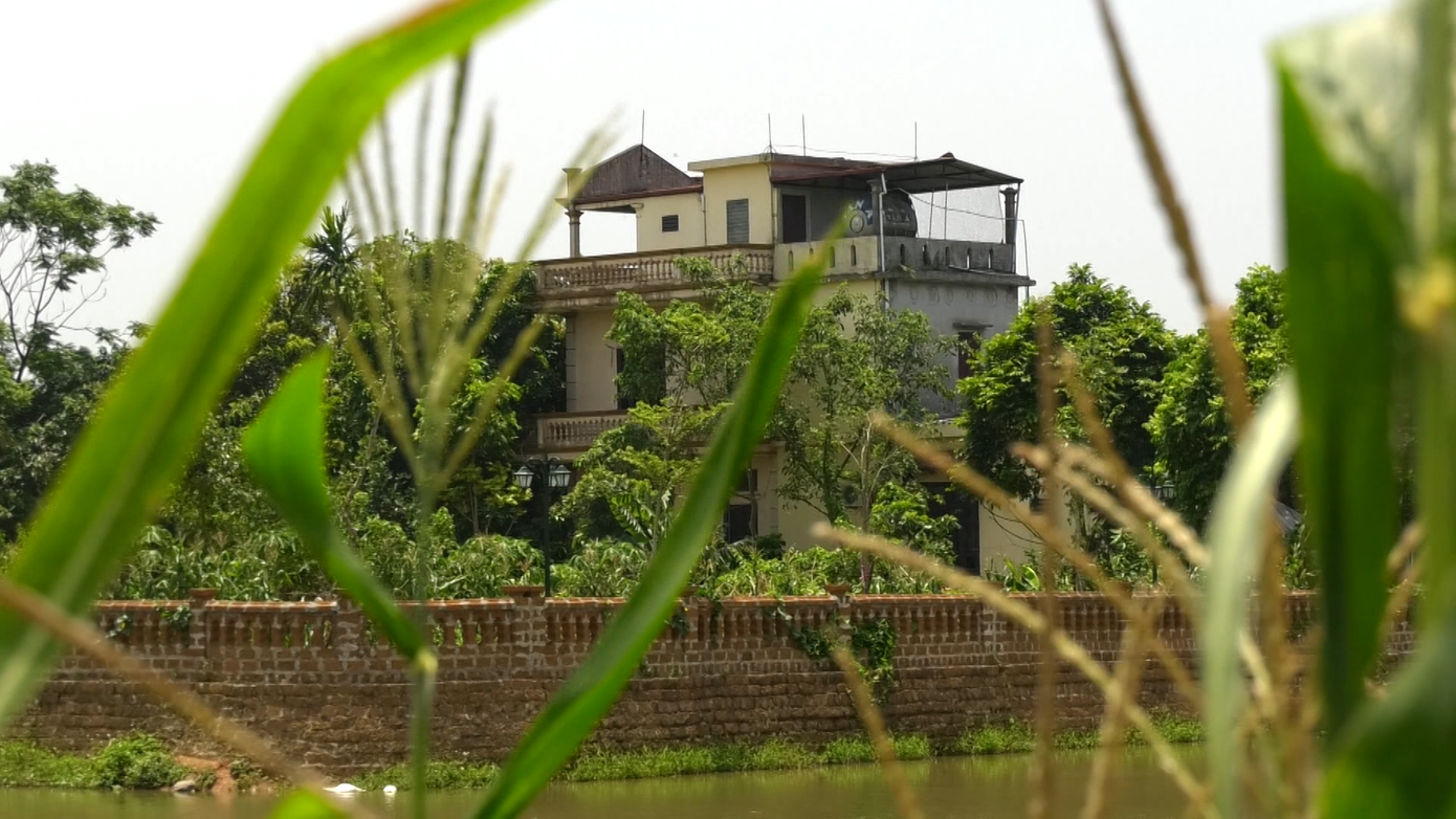 Ao cá Bác Hồ tại Làng cổ Đường Lâm bị 'xà xẻo' 4.000 m2 ảnh 1