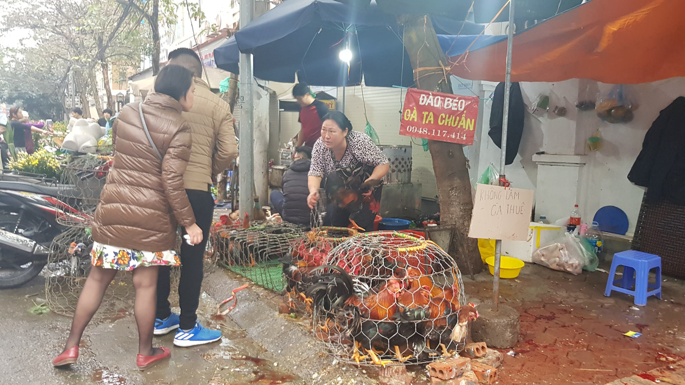 Hà Nội: Giá thịt lợn, thịt gà tăng kỷ lục, người dân chen nhau mua 30 Tết ảnh 7