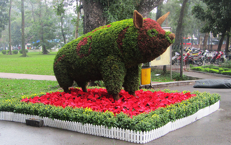 Độc đáo 12 con giáp bằng cây hoa nghệ thuật trong công viên Thống Nhất ảnh 6