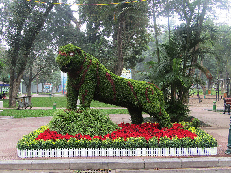 Độc đáo 12 con giáp bằng cây hoa nghệ thuật trong công viên Thống Nhất ảnh 9