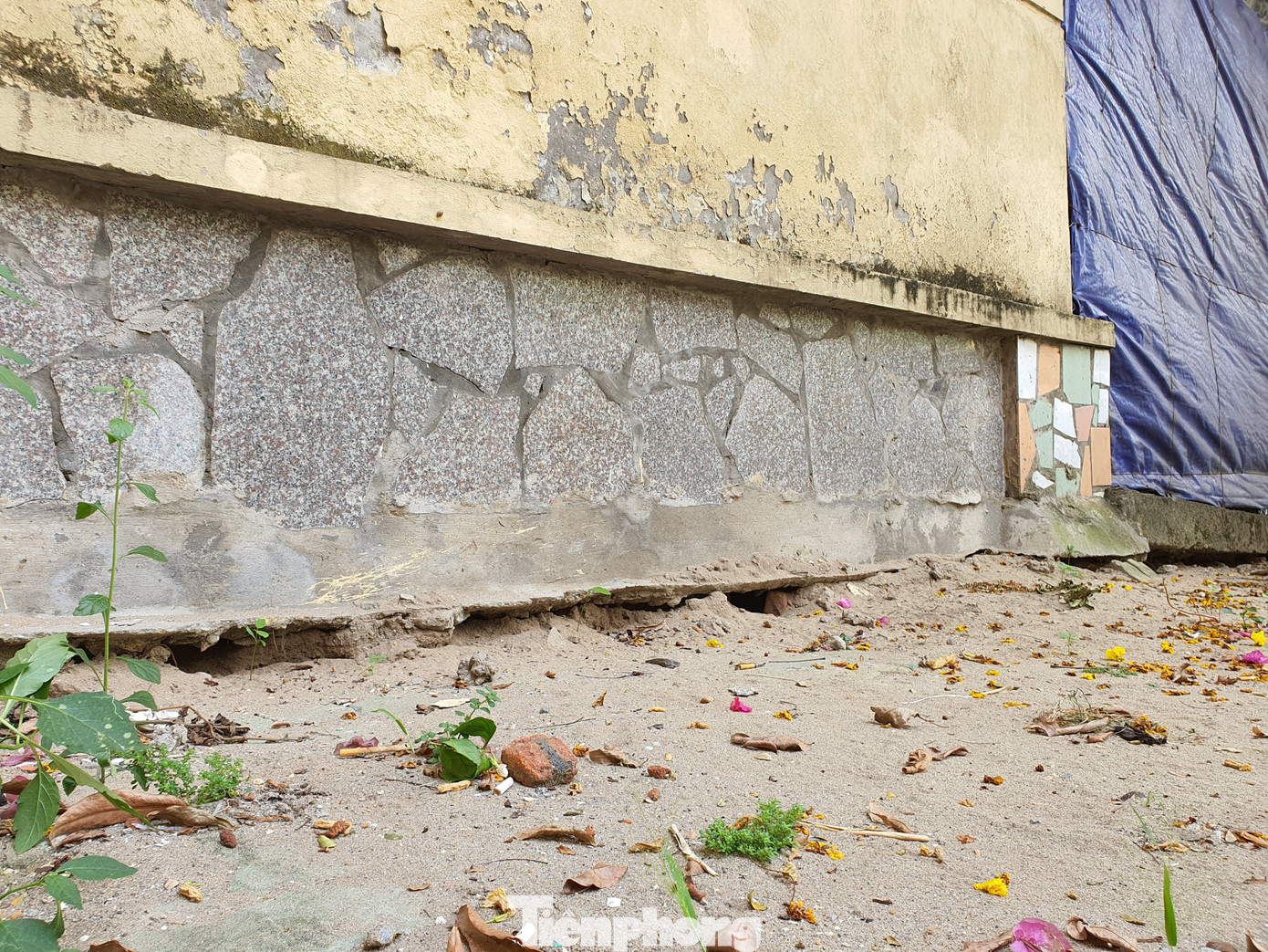 Tận thấy cảnh hoang tàn các khu nhà tái định cư ở Hà Nội ảnh 19