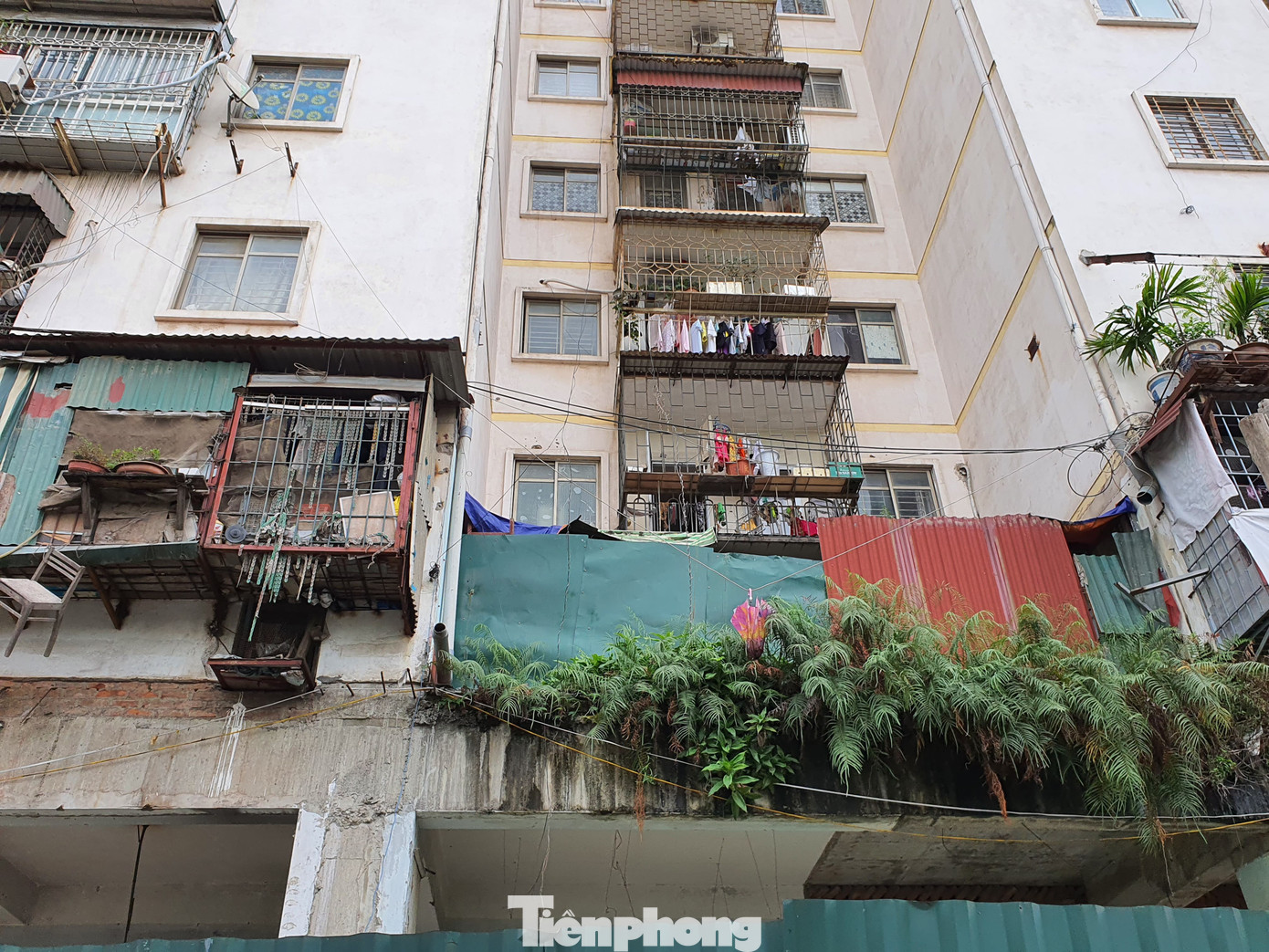 Tận thấy cảnh hoang tàn các khu nhà tái định cư ở Hà Nội ảnh 5