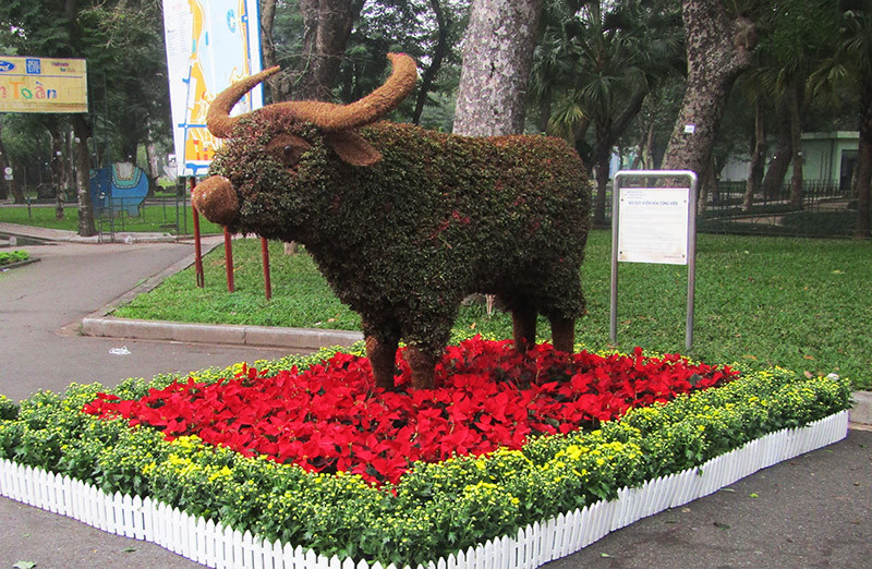 Độc đáo 12 con giáp bằng cây hoa nghệ thuật trong công viên Thống Nhất ảnh 4