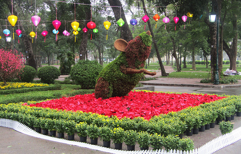 Độc đáo 12 con giáp bằng cây hoa nghệ thuật trong công viên Thống Nhất ảnh 5