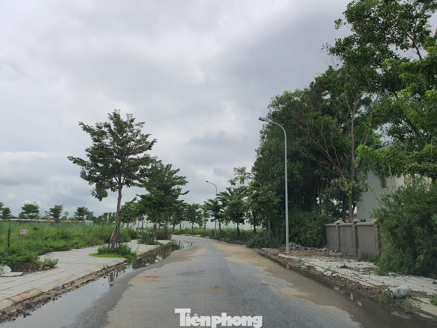 Tận thấy dự án Vườn Sen môi giới tự nhận là chủ đầu tư để dụ khách hàng ảnh 4