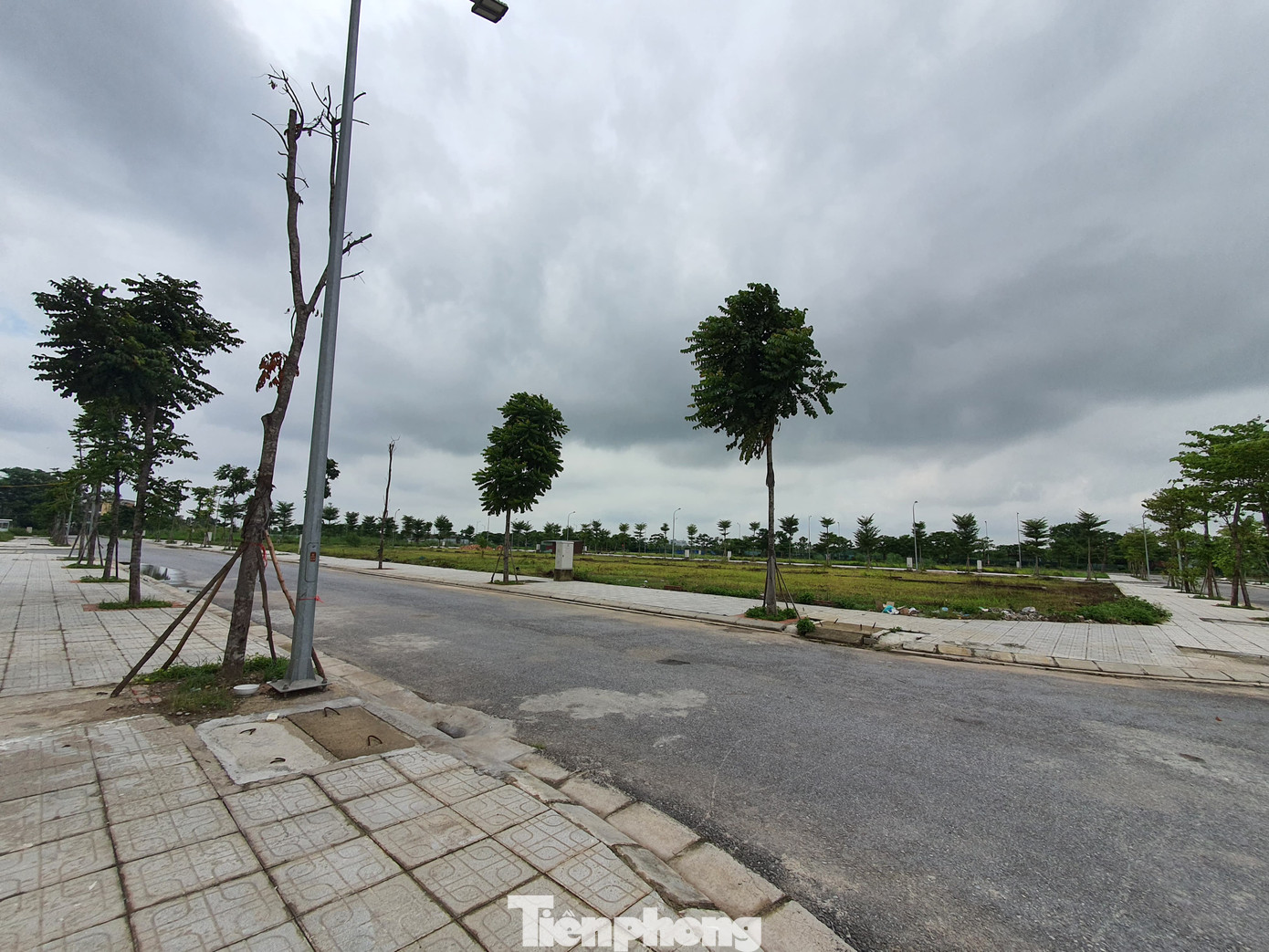 Tận thấy dự án Vườn Sen môi giới tự nhận là chủ đầu tư để dụ khách hàng ảnh 10