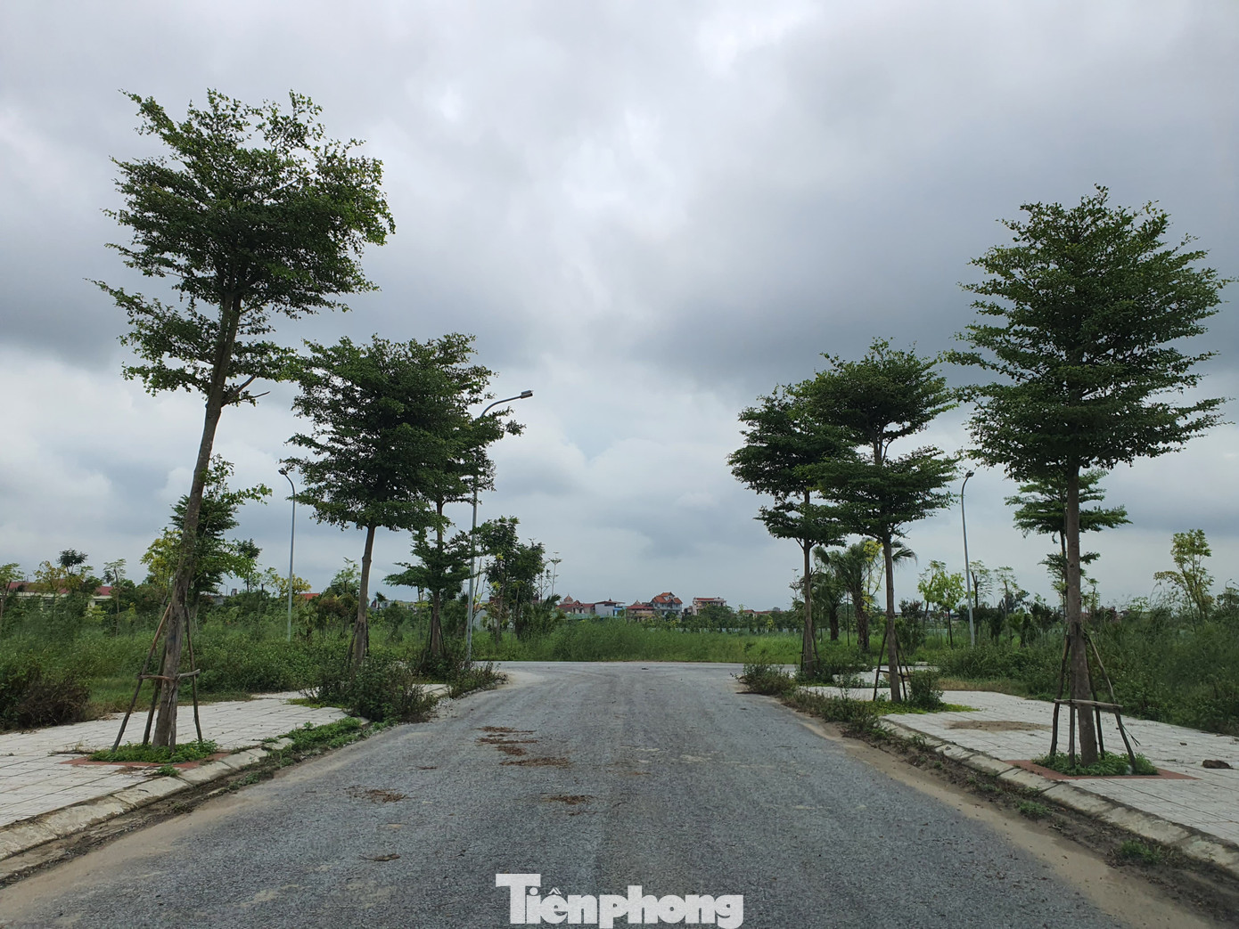 Tận thấy dự án Vườn Sen môi giới tự nhận là chủ đầu tư để dụ khách hàng ảnh 5