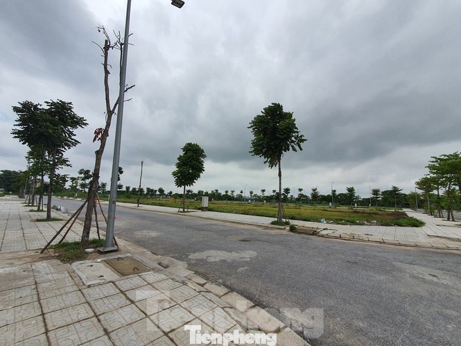 Bắc Ninh lên tiếng về lùm xùm 'bán nhà trên giấy' tại dự án Vườn Sen ảnh 2