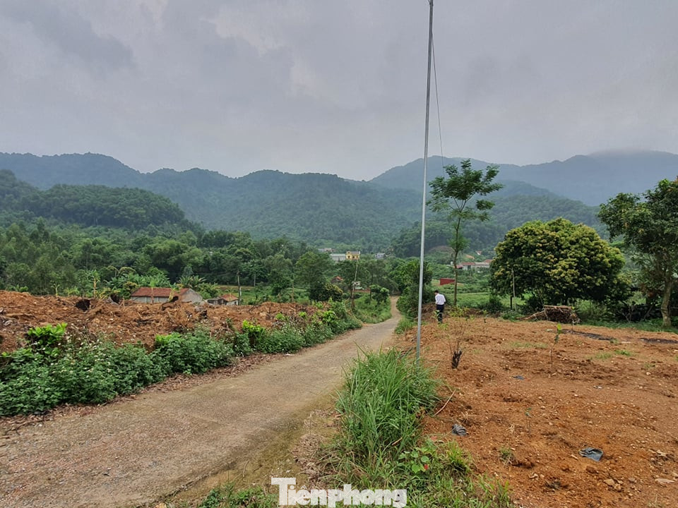 Tình cảnh éo le ở thôn bị coi là 'xẻ thịt' đất rừng Sóc Sơn ảnh 6