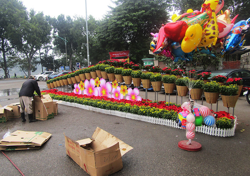 Độc đáo 12 con giáp bằng cây hoa nghệ thuật trong công viên Thống Nhất ảnh 15