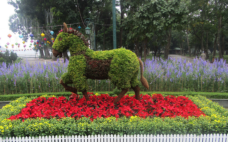 Độc đáo 12 con giáp bằng cây hoa nghệ thuật trong công viên Thống Nhất ảnh 1