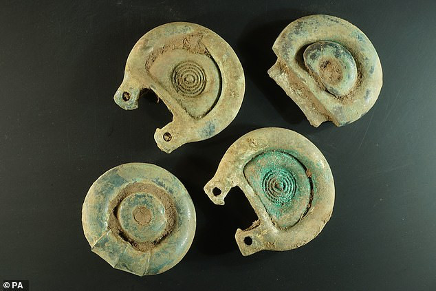 Phát hiện kho báu chứa cổ kiếm 3.000 năm tuổi trên cánh đồng hoang ảnh 5