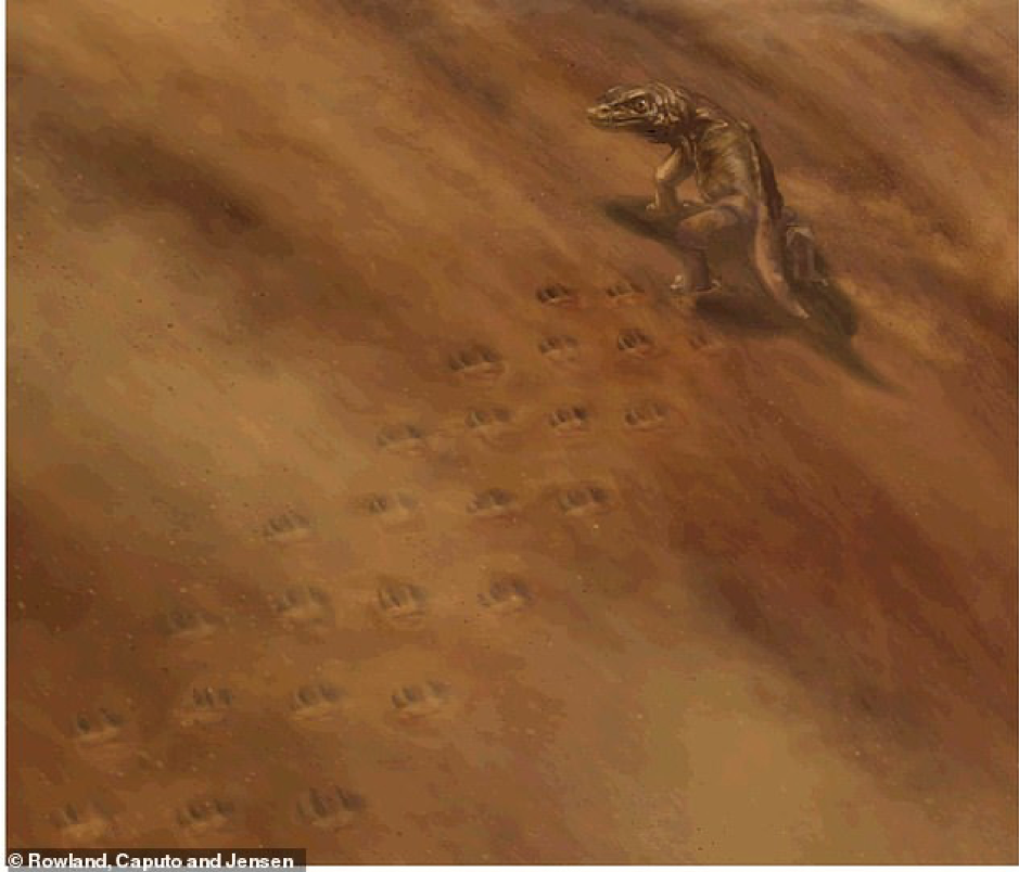 Đi bộ trong công viên, vô tình phát hiện dấu chân cổ đại kỳ bí ảnh 2