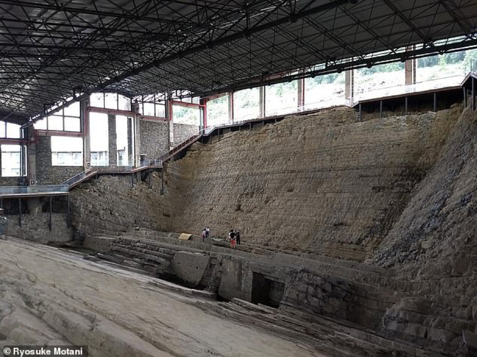 Cái chết ám ảnh 240 triệu năm: Quái vật biển sâu tử vong vì bội thực ảnh 4