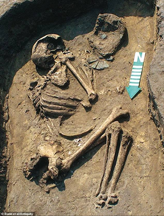 Đào cổ mộ, nghe xương khô 'kể chuyện' sang hèn từ thời… đồ đá ảnh 1