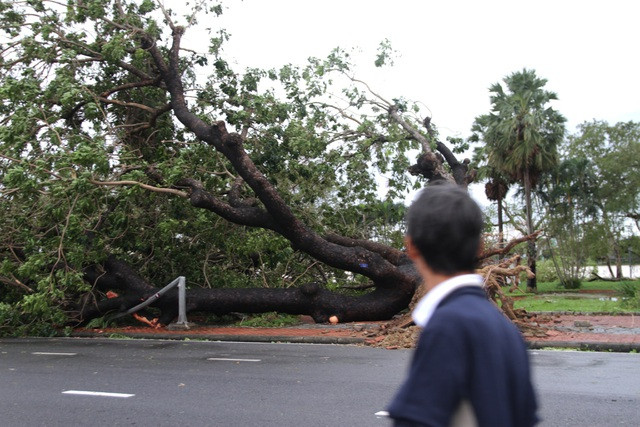 Bão số 13 đổ bộ Quảng Bình, Hà Tĩnh ảnh 18