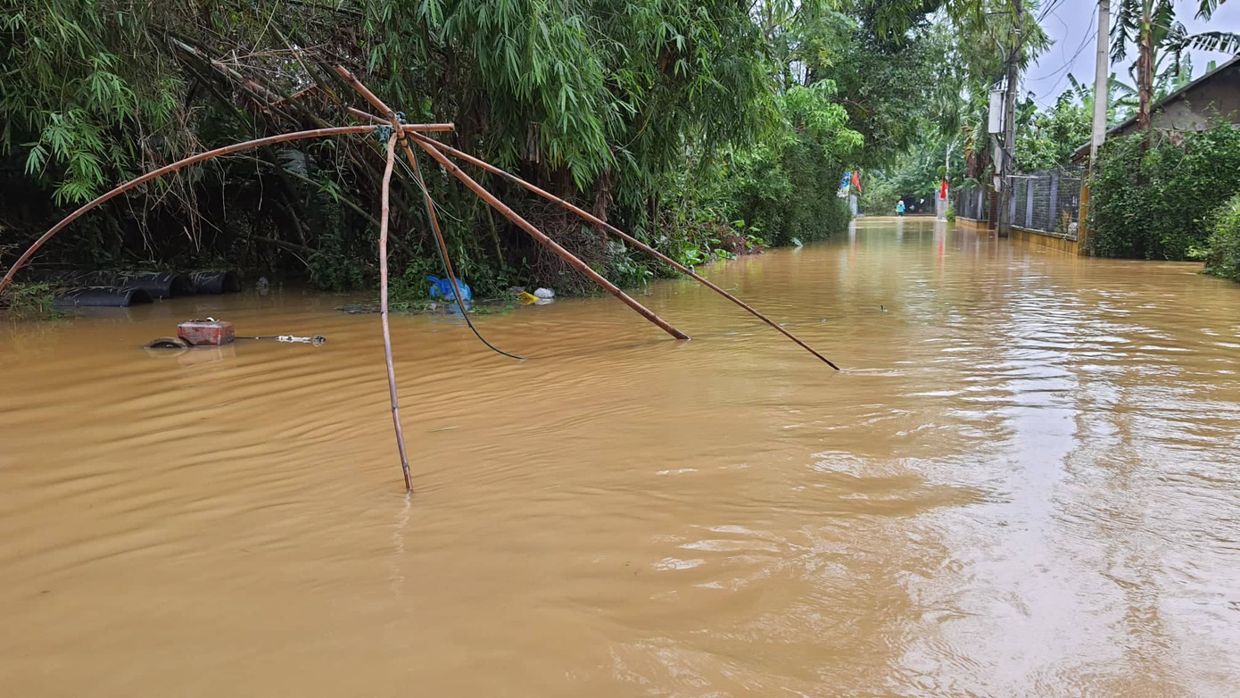 Lũ bất ngờ trở lại, người Huế đặt vó bắt cá giữa con phố ‘hóa’ thành sông ảnh 7