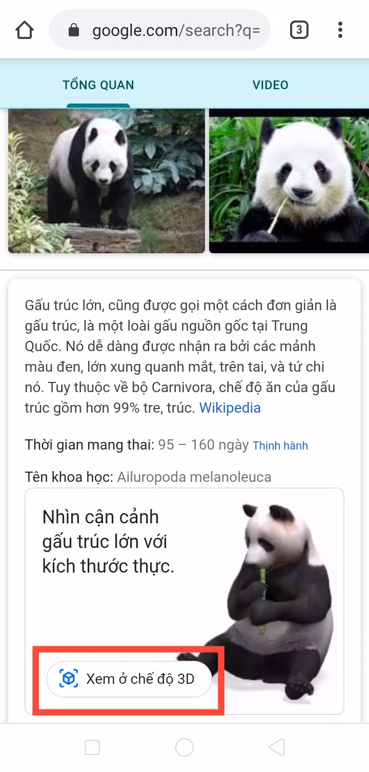 Nuôi thú ảo 3D siêu cưng chỉ với một “cú click” trên Google, bạn đã biết cách chưa? ảnh 1