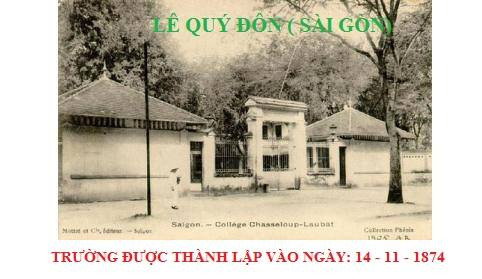 Vụ cây đổ khiến học sinh tử vong: Nguy cơ tiềm ẩn từ cây tuổi đời lâu năm tại các trường ảnh 1