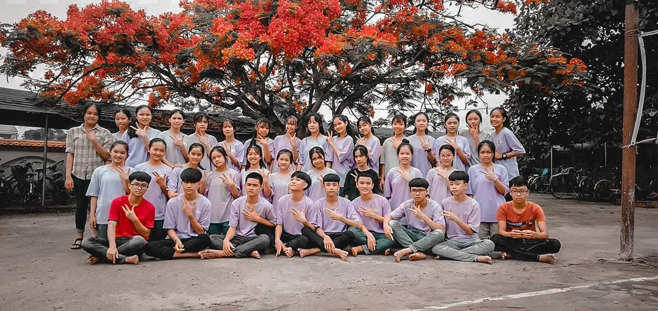 Rà soát cây xanh trường học toàn thành phố, phượng buồn không chỉ là tên một bài hát ảnh 1