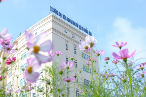 Sinh viên ĐH KH&XHNV (TP.HCM) khoe “Đà Lạt thu nhỏ” ngay trong khuôn viên trường ảnh 1