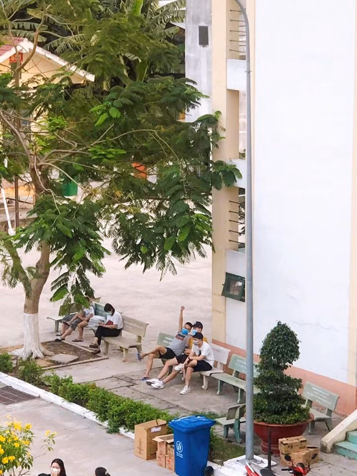 Cười “rớt tuổi trẻ” với nhật ký khởi nghiệp tiệm tạp hóa Cô Vy trong khu cách ly ảnh 3